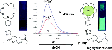 Graphical abstract: High Na+ and K+-induced fluorescence enhancement of a π-conjugated phenylaza-18-crown-6-triazol-substituted coumarin fluoroionophore