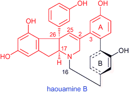 Graphical abstract: Diastereoselective synthesis of the indeno-tetrahydropyridine core bearing a diaryl-substituted stereogenic quaternary carbon center of haouamine B