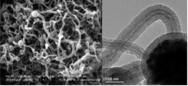 Graphical abstract: Facile synthesis and application of mesoporous silica coated magnetic carbon nanotubes