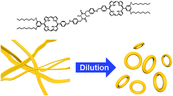 Graphical abstract: Cyclodipeptide-bridged porphyrin dimer supramolecular assemblies