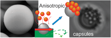 Graphical abstract: Anisotropic multicompartment micro- and nano-capsules produced via embedding into biocompatible PLL/HA films
