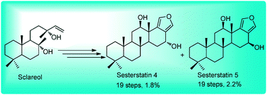Graphical abstract: A straightforward and efficient synthetic access to biologically active marine sesterterpenoids, sesterstatins 4 and 5