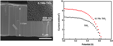 Graphical abstract: Nb doping of TiO2 nanotubes for an enhanced efficiency of dye-sensitized solar cells