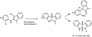 Graphical abstract: Remarkably reactive dihydroindoloindoles viapalladium-catalysed dearomatisation