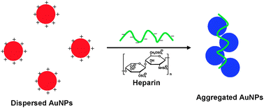 Graphical abstract: A simple and sensitive method for visual detection of heparin using positively-charged gold nanoparticles as colorimetric probes