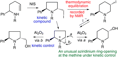 Graphical abstract: NMR evidence of the kinetic and thermodynamic products in the NIS promoted cyclization of 1-phenyl-4-pentenylamines. Synthesis and reactivity of trans-2-phenyl-5-iodopiperidines