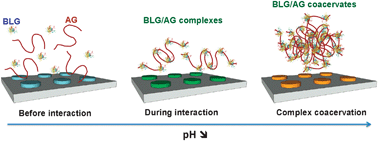 Graphical abstract: Biopolymers phase separation monitored by a plasmonic sensor