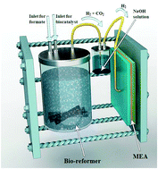 Graphical abstract: A compact BrFAFC (Bio-reformed Formic Acid Fuel Cell) converting formate to power
