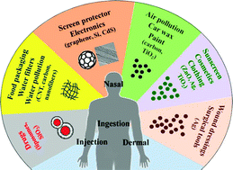 Graphical abstract: Health impact and safety of engineered nanomaterials