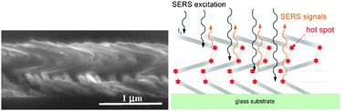 Graphical abstract: Surface-enhanced Raman scattering from helical silver nanorod arrays