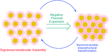 Graphical abstract: Thermoreversible formation and negative thermal expansion of supramacromolecular assemblies of unimolecular micelles in solution