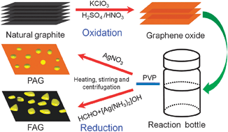 Graphical abstract: Growth of silver nanocrystals on graphene by simultaneous reduction of graphene oxide and silver ions with a rapid and efficient one-step approach