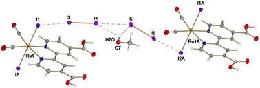 Graphical abstract: Concerted halogen and hydrogen bonding in [RuI2(H2dcbpy)(CO)2]⋯I2⋯(CH3OH)⋯I2⋯[RuI2(H2dcbpy)(CO)2]