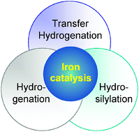 Graphical abstract: Homogeneous catalysis using iron complexes: recent developments in selective reductions