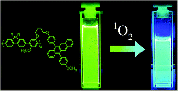 Graphical abstract: Acene-linked conjugated polymers with ratiometric fluorescent response to 1O2