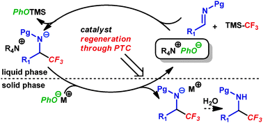 Graphical abstract: Organocatalytic trifluoromethylation of imines using phase-transfer catalysis with phenoxides. A general platform for catalytic additions of organosilanes to imines