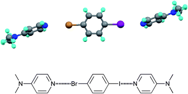Graphical abstract: A halogen-bonded complex of DMAP with 4-bromoiodobenzene