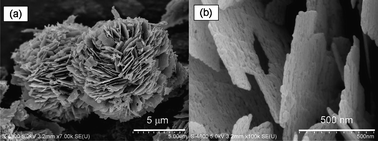 Graphical abstract: Improved visible-light photocatalytic activity of porous carbon self-doped ZnO nanosheet-assembled flowers