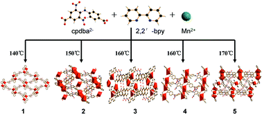 Graphical abstract: Structural diversity of the mixed-ligand system Mn-cpdba-2,2′-bpy controlled by temperature