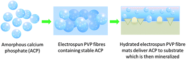 Graphical abstract: Electrospun mats of PVP/ACP nanofibres for remineralization of enamel tooth surfaces