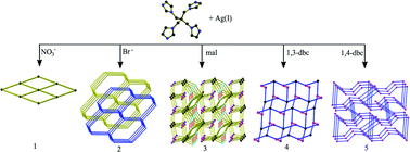 Graphical abstract: Syntheses, structures, and photoluminescence of five silver(i) coordination polymers based on tetrakis(imidazol-1-ylmethyl)methane