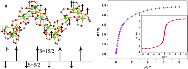 Graphical abstract: Two new ferrimagnetic MnII-carboxylate coordination polymers constructed from 5-tert-butyl isophthalic acid with (5/2, 15/2) and (5/2, 10/2) spin topologies