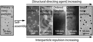 Graphical abstract: A detailed study of growth of nanostructured poly(aniline) particles in the light of thermodynamic interaction balance