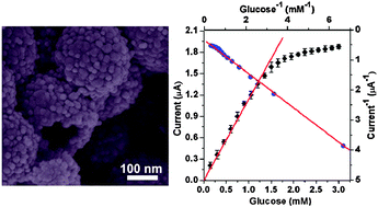 Graphical abstract: Direct electron transfer of glucose oxidase and biosensing of glucose on hollow sphere-nanostructured conducting polymer/metal oxide composite