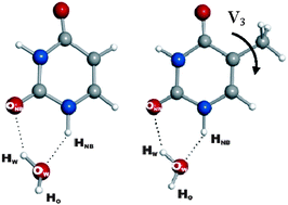 Graphical abstract: Hydrogen bonding and structure of uracil–water and thymine–water complexes