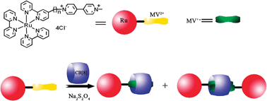 Graphical abstract: Redox-induced Ru(bpy)32+-methylviologen radical formation and its dimerization in cucurbit[8]uril