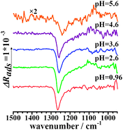 Graphical abstract: Quantitative SNIFTIRS studies of (bi)sulfate adsorption at the Pt(111) electrode surface