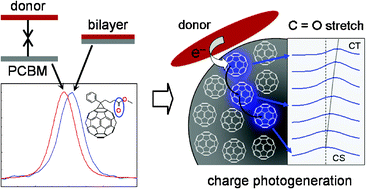 Graphical abstract: Vibrational solvatochromism in organic photovoltaic materials: method to distinguish molecules at donor/acceptor interfaces