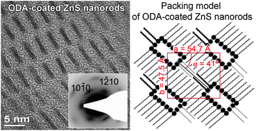 Graphical abstract: Hierarchical superstructure of alkylamine-coated ZnS nanoparticle assemblies