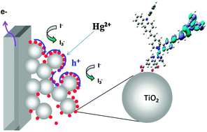 Graphical abstract: Spectroelectrochemical studies of hole percolation on functionalised nanocrystalline TiO2 films: a comparison of two different ruthenium complexes