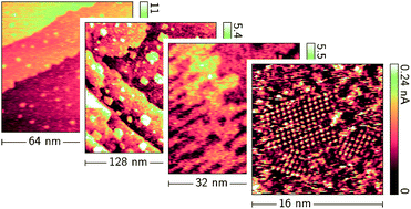 Graphical abstract: Adsorption of human insulin on single-crystal gold surfaces investigated by in situ scanning tunnelling microscopy and electrochemistry