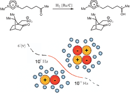 Graphical abstract: Ion speciation driving chirality transfer in imidazolium-based camphorsulfonate ionic liquid solutions