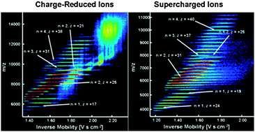 Graphical abstract: Ion mobility–mass spectrometry of phosphorylase B ions generated with supercharging reagents but in charge-reducing buffer