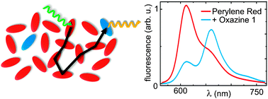 Graphical abstract: Long distance energy transfer in a polymer matrix doped with a perylene dye