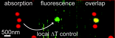 Graphical abstract: Making gold nanoparticles fluorescent for simultaneous absorption and fluorescence detection on the single particle level