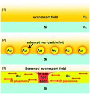 Graphical abstract: Surface-enhanced ATR-IR spectroscopy with interface-grown plasmonic gold-island films near the percolation threshold