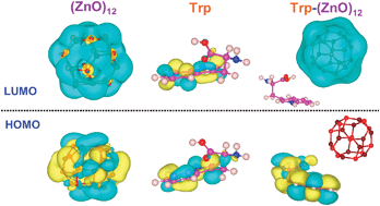 Graphical abstract: Site specific interaction between ZnO nanoparticles and tryptophan: a first principles quantum mechanical study