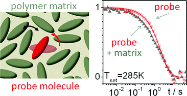 Graphical abstract: Single molecule probing of dynamics in supercooled polymers