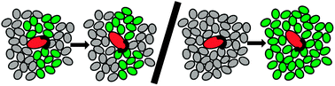 Graphical abstract: Probe dependence of spatially heterogeneous dynamics in supercooled glycerol as revealed by single molecule microscopy