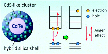 Graphical abstract: Auger recombination dynamics in hybrid silica-coated CdTe nanocrystals