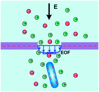 Graphical abstract: Electrokinetic particle translocation through a nanopore
