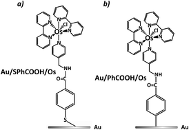 Graphical abstract: Electrochemistry of Os(2,2′-bpy)2ClPyCH2NHCOPh tethered to Au electrodes by S–Au and C–Au junctions