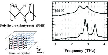 Graphical abstract: Polarization and temperature dependent spectra of poly(3-hydroxyalkanoate)s measured at terahertz frequencies