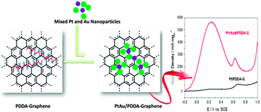 Graphical abstract: Self-assembly of mixed Pt and Au nanoparticles on PDDA-functionalized graphene as effective electrocatalysts for formic acid oxidation of fuel cells