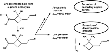 Graphical abstract: Pressure dependent mechanistic branching in the formation pathways of secondary organic aerosol from cyclic-alkene gas-phase ozonolysis