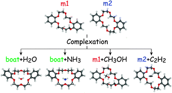Graphical abstract: Structure of host–guest complexes between dibenzo-18-crown-6 and water, ammonia, methanol, and acetylene: Evidence of molecular recognition on the complexation